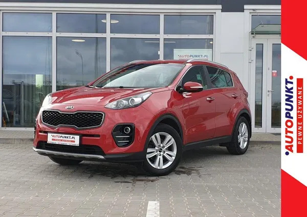 kia pomorskie Kia Sportage cena 72900 przebieg: 120358, rok produkcji 2017 z Nowogard